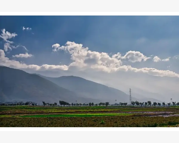 B2B技术转让中知识产权归属的隐形陷阱